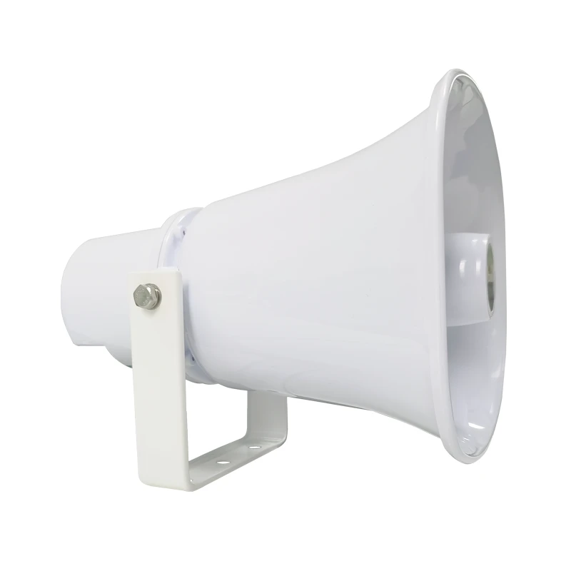 VoIP horn speaker
