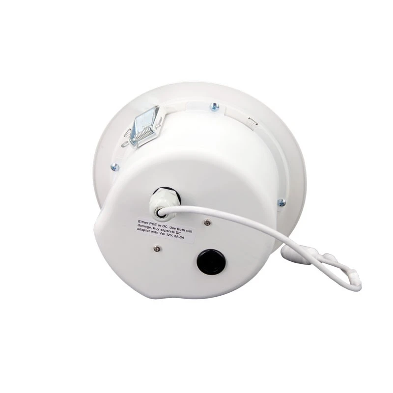 Office Ceiling Speaker